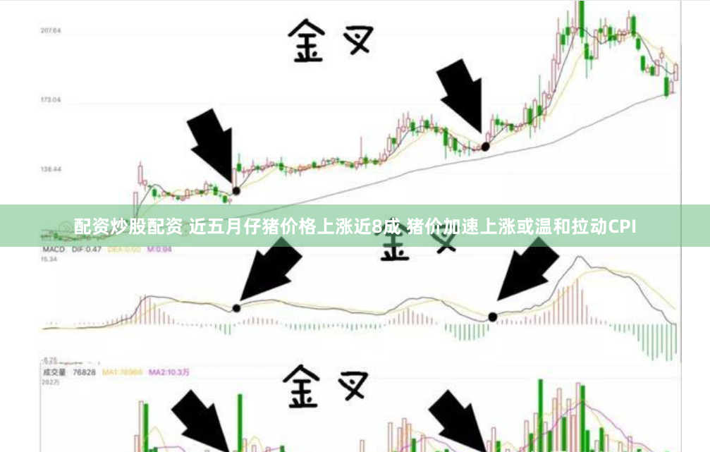 配资炒股配资 近五月仔猪价格上涨近8成 猪价加速上涨或温和拉动CPI