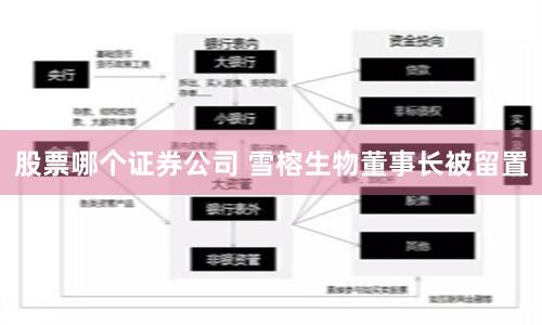 股票哪个证券公司 雪榕生物董事长被留置
