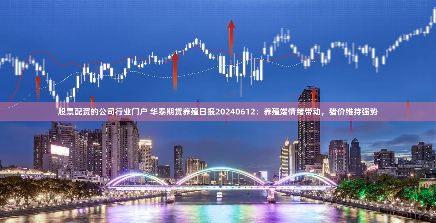 股票配资的公司行业门户 华泰期货养殖日报20240612：养殖端情绪带动，猪价维持强势